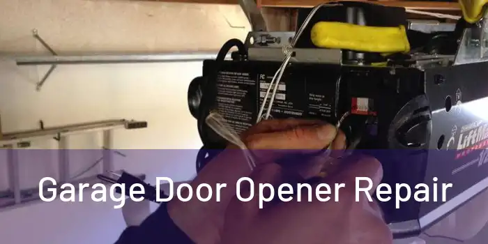  Garage Door Opener Repair 