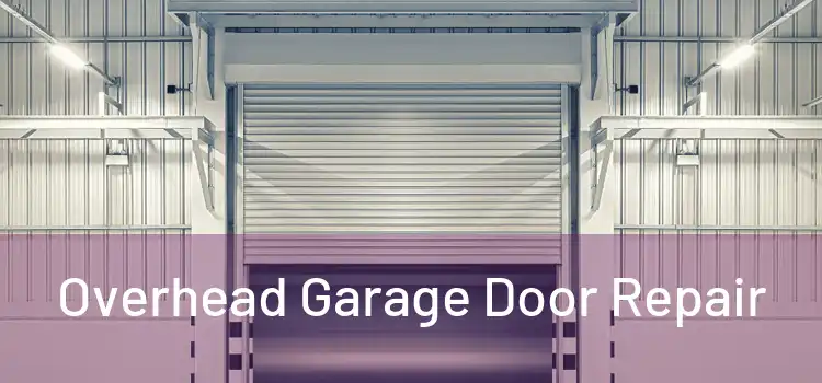  Overhead Garage Door Repair 